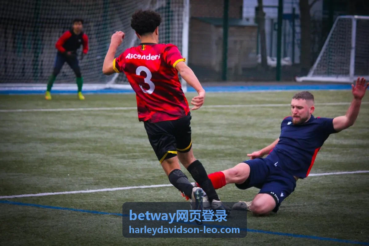 betway网页登录 账号验证流程示意